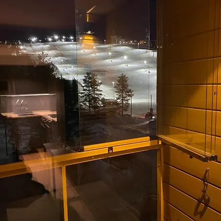 Levin Kunkku C 2 Levi