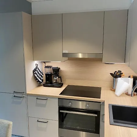 Apartamento Levin Kunkku C 2 Levi