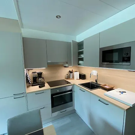 Levin Kunkku C 2 * Levi