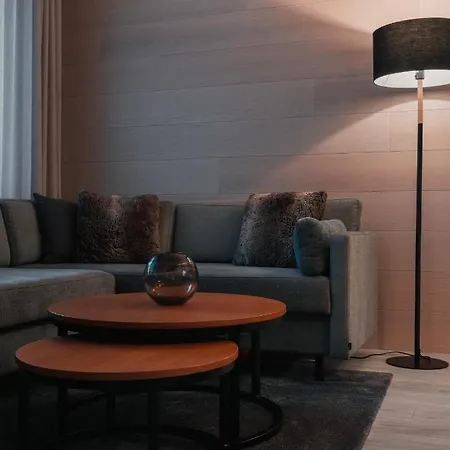 Levin Kunkku C 2 Apartamento Levi